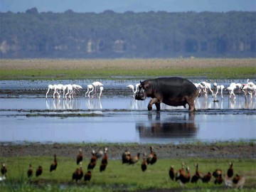 Rietvlei Nature Reserve